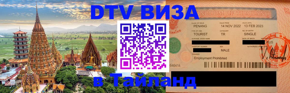 Оформление DTV визы под ключ: стоимость и тарифы, только загранпаспорт - 18.11.2025 